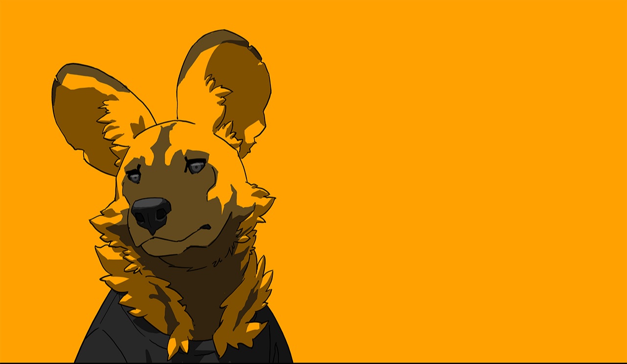 Dog, a wild dog in a dark hoodie on orange